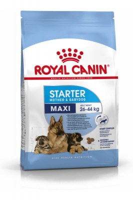 Royal Canin Maxi Starter